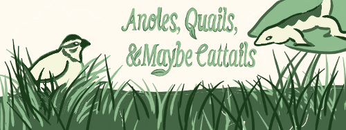 button for the Anoles Quails and Maybe Cattails Neocities site